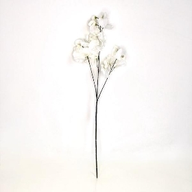 White Sweetpea 73cm