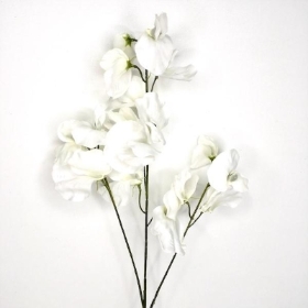 White Sweetpea 73cm