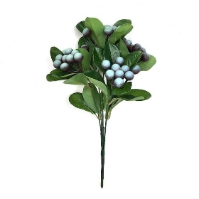 Blue Berry Bush 30cm