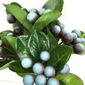 Blue Berry Bush 30cm