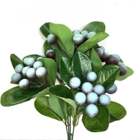 Blue Berry Bush 30cm