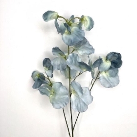 Pale Blue Sweetpea 73cm