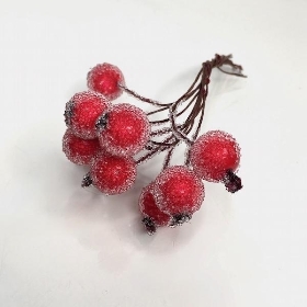 Mixed Frosted Berry Box 9cm