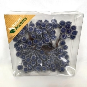 Blue Frosted Berry Box 9cm