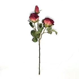 Dried Burgundy Spray Rose 55cm