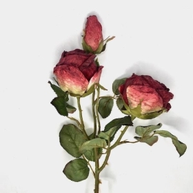 Dried Burgundy Spray Rose 55cm