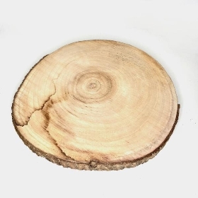 Wood Slice 39cm