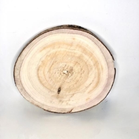 Wood Slice 31cm