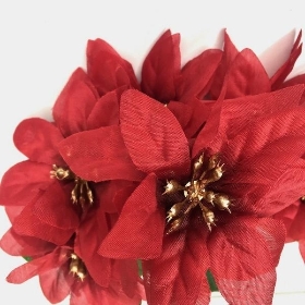 Red Poinsettia Bush 30cm