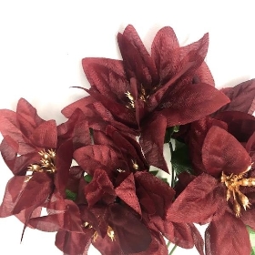 Burgundy Poinsettia Bush 30cm