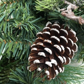 Spruce & Cone Wreath 60cm