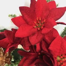 Red Poinsettia Mix Bush 37cm