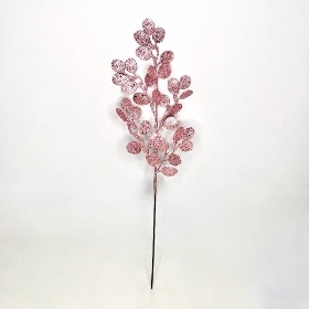 Pink Eucalyptus Stem 62cm