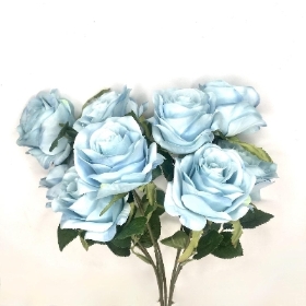 Antique Blue Rose Bush 40cm