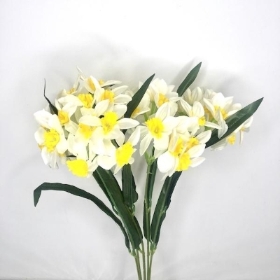 Ivory Narcissus Bush 52cm