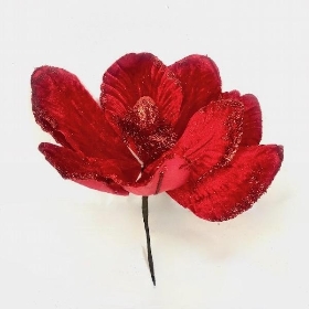 Red Velvet Magnolia 23cm