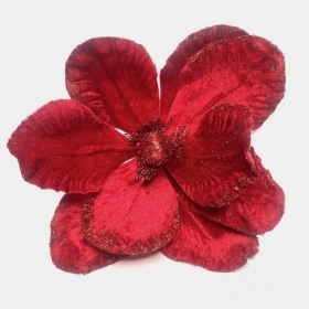 Red Velvet Magnolia 23cm