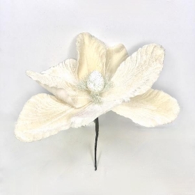 White Velvet Magnolia 23cm