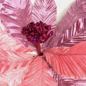 Pink Poinsettia 45cm