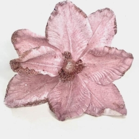 Pink Velvet Magnolia 23cm