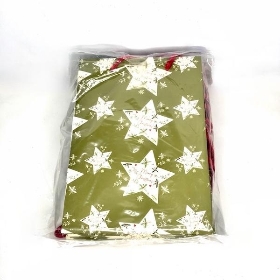 Holly Star Bag 25cm x 10