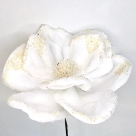 White Fur Magnolia 53cm