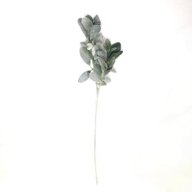 Green Lambs Ear Stem 75cm