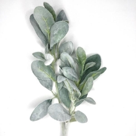 Green Lambs Ear Stem 75cm