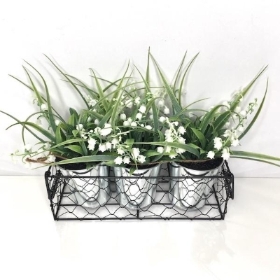 Lily of the Valley Planter 20cm