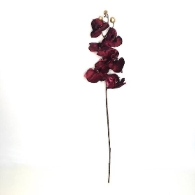 Maroon Luxury Phalaenopsis 76cm