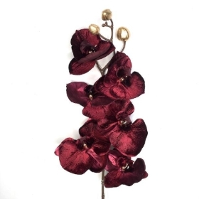 Maroon Luxury Phalaenopsis 76cm