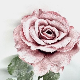 Red Snowy Rose Stem 67cm