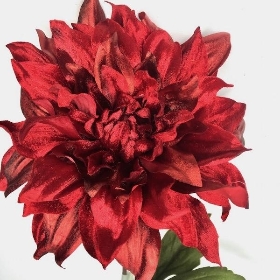 Red Deluxe Dahlia 62cm