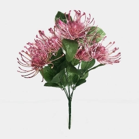 Dusky Chrysanthemum Bush 40cm