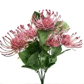 Dusky Chrysanthemum Bush 40cm