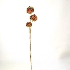 Russet Iridescent Allium 100cm