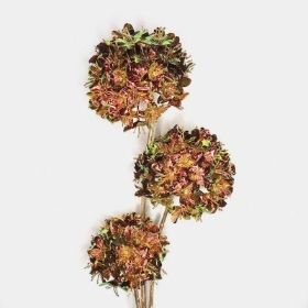 Russet Iridescent Allium 100cm