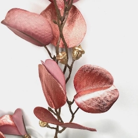 Pink Luxury Eucalyptus 84cm