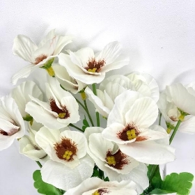 White Pansy Bush 34cm