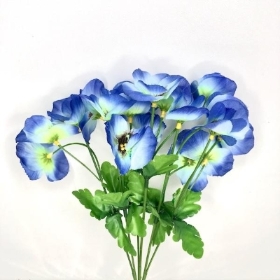 Blue Pansy Bush 34cm