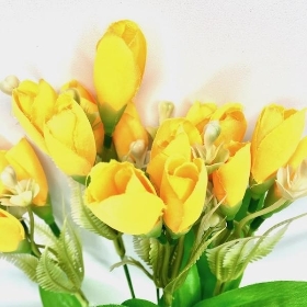 Yellow Tulip Bush 36cm