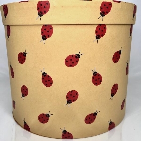 Kraft Hat Box Ladybird 17.5cm