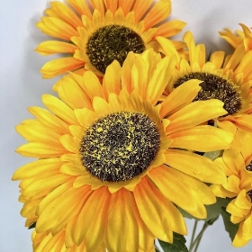 Yellow Sunflower Bush 42cm