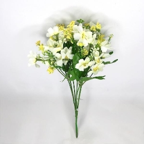 White Mixed Daisy Bush 30cm