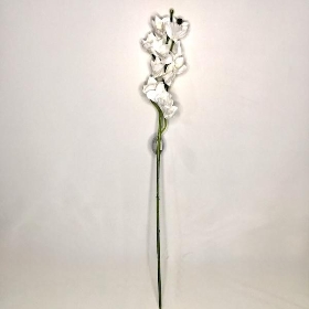 White Cymbidium Orchid 97cm