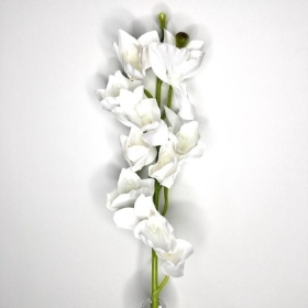 White Cymbidium Orchid 97cm