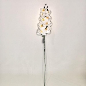 White Phalaenopsis Orchid 98cm