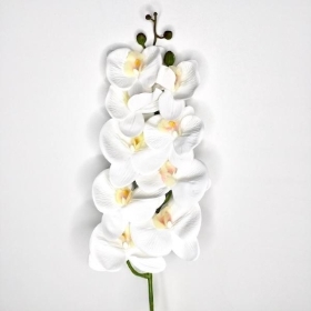 White Phalaenopsis Orchid 98cm