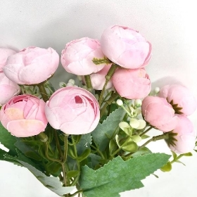 Pale Pink Ranunculus Bush 30cm