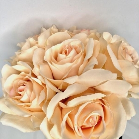 Nude Rose Bundle 30cm